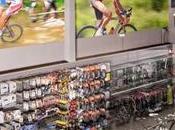 tipo bicicleta compro.