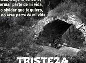 Tristeza