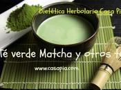verde Matcha otros