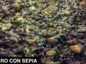 Arroz negro sepia
