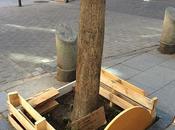 jardín homeopático