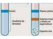 Test Capacitación