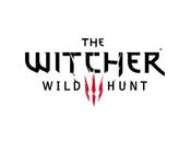 Projekt: frame rate Witcher algo “secundario”