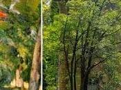 Localizando obras arte