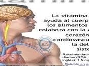 vitaminas factores accesorios