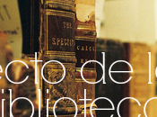 Directo Biblioteca (10) Paper Towns.