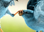 Twitter empezará utilizar números teléfono propios usuarios para aumentar control contra abuso online.