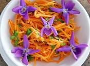 Ensalada zanahoria violetas