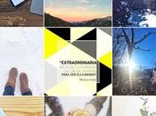 Consejos para Instagram escaparate negocio