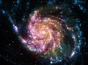 M101 molinillo viento muchos colores