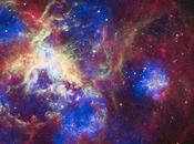 nueva visión Nebulosa Tarántula