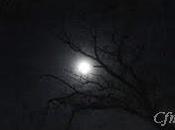 testigo, luna...