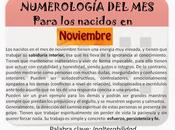 Numerología para nacidos noviembre diciembre