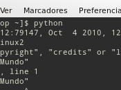 print Python print()