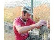 conejos aeropuerto Sevilla sostienen lince Doñana