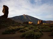Parque Nacional Teide.Tenerife