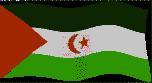 Marruecos aplasta saharauis