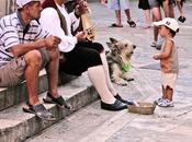 músico, perro niño... señor mira infinito