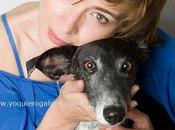 SANDRA BARNEDA Galgos