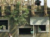 arquitectura para cambio social ‘Small Scale, Change: Architectures Social Engagement’ MoMA