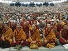 Proverbio tibetano