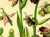 Bellaqueo fragmento 'Cántico cósmico'