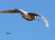 Visita polar familia villodas-guerrero