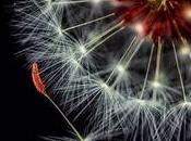 Aplicación gratuita para teléfono móvil formajardin