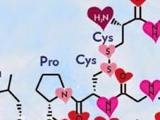 oxitocina, hormona amor ¿tratamiento obesidad?