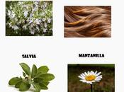 Remedios naturales plantas: cabello sano
