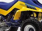 Suzuki quadracer 500r quadzilla
