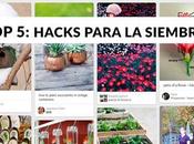 Hacks para siembra