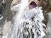 ¡Hola calor!