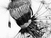 MARISA BONZON. Exposición Fotográfica.