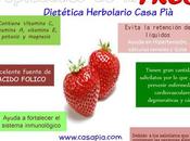 Propiedades nutritivas Fresas
