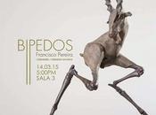 Francisco Pereira-Bípedos