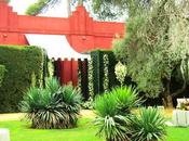 Visitando wedding aljarafe