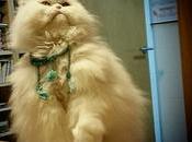 Estamos Agustito LXXXVI. Momento Grulla