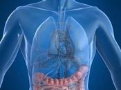 oncogenes desarrollo intestinal…