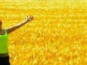 ¿Qué agradecido eres?...