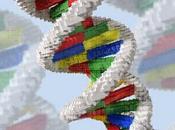 Ética biología sintética