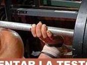 Métodos naturales para elevar testosterona