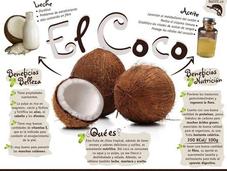 Propiedades nutritivas Coco