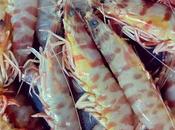Recetas langostinos