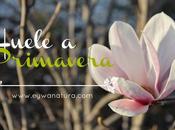 Huele primavera, eclipse sorteo!!!
