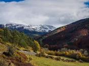 Nieves prematuras