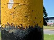 Scraping lamppost