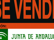 Recordando decdlt… cosas hemos castigar ciudadanos…
