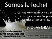 Campaña recogida leche para Cáritas, organizada AMPA Nuevo Montequinto