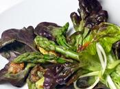 Ensalada Hojas Roble